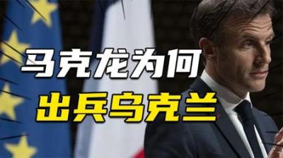[视]突然高调，马克龙为什么要坚持出兵乌克兰？强硬是为了更好地投降