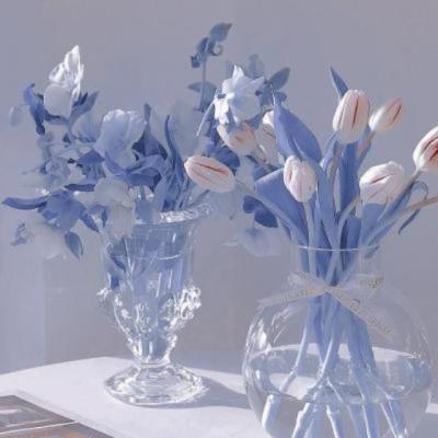 【励志】新款励志游戏（有趣又励志的游戏）