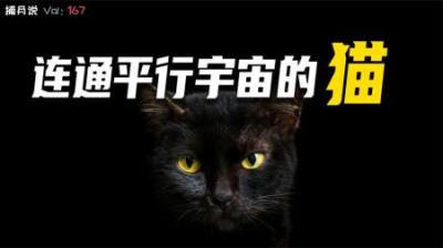 [视]平行宇宙存在的原因，竟然是因为一只猫