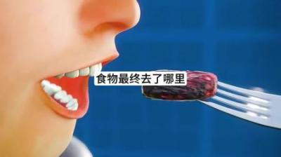 [视]食物是如何变成便便的？#科普一下 #科普 #奇趣 #抖进科学