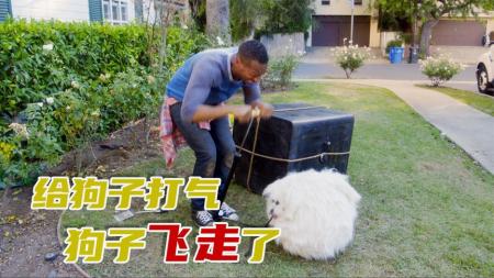 [视]这屋子有点诡异，狗子刚来就被砸成了狗饼《鬼屋大电影》