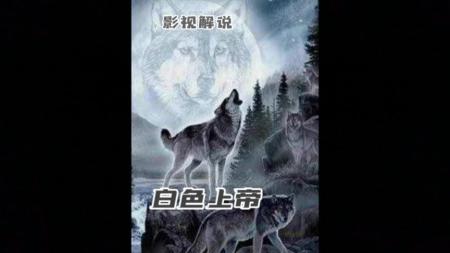 [文]剧情电影《白色上帝》解说文案(电影白色上帝解说文案)