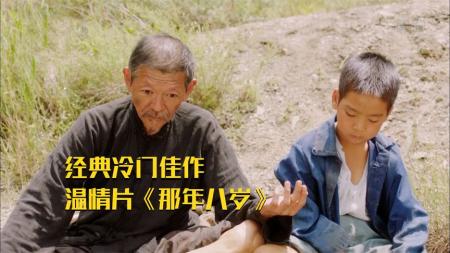 [文]剧情电影《那年八岁》解说文案片源素材