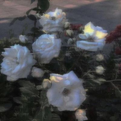 【爱情】送爱人坐火车文案（送老公到火车站的简短文案）