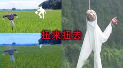 [视]农村里的诡异事件，都市传说“扭来扭去”，看见它就会疯掉