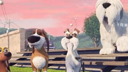 [文]《狗狗的疯狂假期》解说文案所有的疯狂与冒险，都是为了回归所爱之人身旁