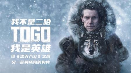 [文]剧情电影《多哥》解说文案(《多哥》电影解说)