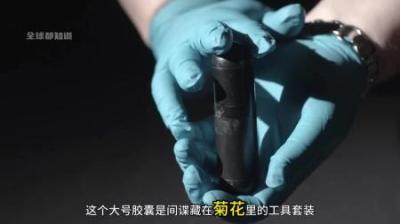 [视]奇葩的美国间谍工具，竟然藏在菊花里。 #间谍 #涨知识 #奇葩