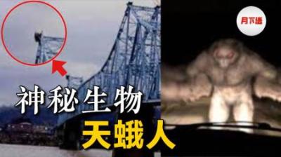 [视]长着巨大翅膀的“天蛾人”：出现预示着灾难，却成旅游景点招牌？