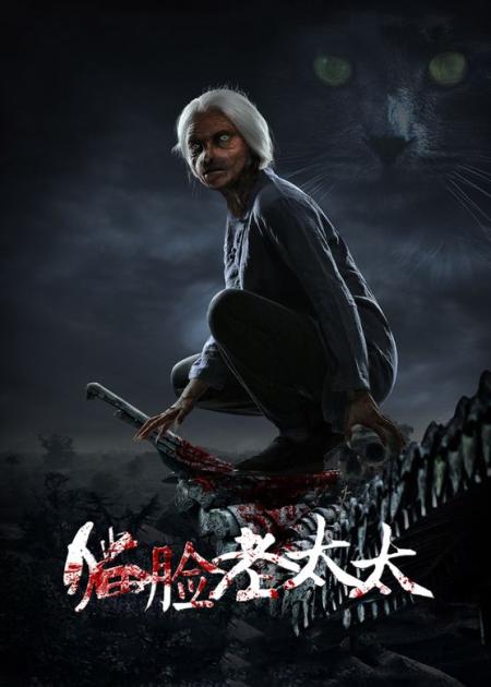 [文]《猫脸老太太》解说文案《猫脸老太太》求计算观众内心恐怖猫影的面积