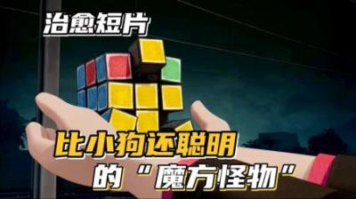 [视]一个成精的魔方，他会像宠物狗狗一样转圈圈，去治愈不开心的人类