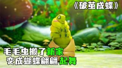 [视]《破茧成蝶》毛毛虫居然能变成漂亮的蝴蝶，翩翩起舞