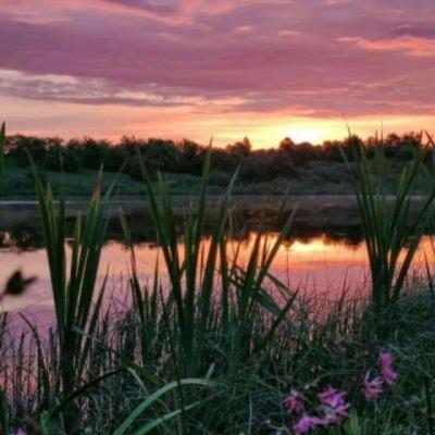 【感悟】农村夜晚看月亮的句子（晚上一个人看月亮的心烦的句子）