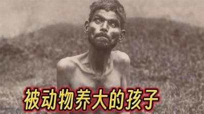 [视]现实版人猿泰山：盘点被动物养大的孩子，失语、吃生肉、四肢走路