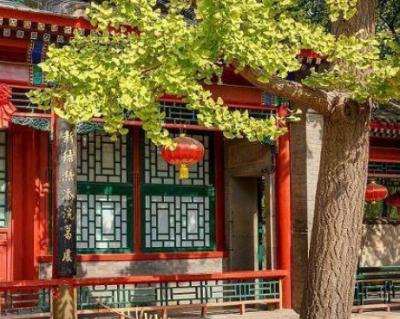 《红楼梦》中的权力游戏：贾府的兴衰与皇权的较量