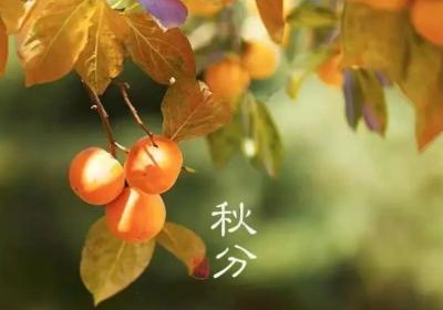 秋分日的天文意义与文化内涵