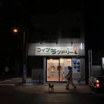 【伤感】女娲沙雕的文案（沙雕赞美文案）