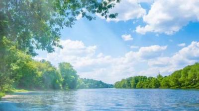 第564集 碗里有毒 1[附音频]