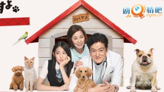 《柴健医生事件簿》_第1集_分集剧情