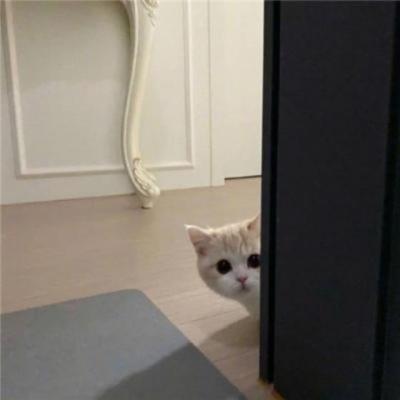 【励志】带数学的励志头像（头像背影带数学公式）