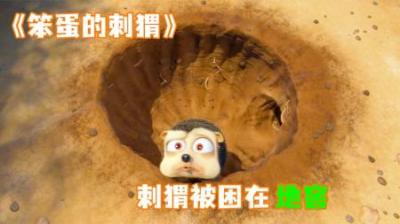 [视]《笨蛋的刺猬》刺猬被困在地窖，东钻西窜怎么也出不来！