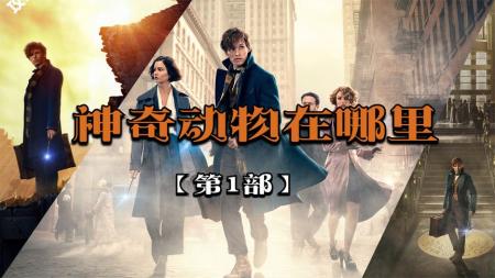 [文]《神奇动物在哪里》17分钟带你一口气看完神奇动物系列第一部神奇动物在哪里