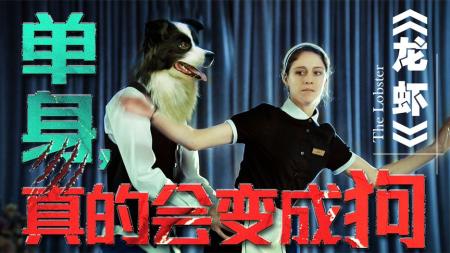 [文]《龙虾》解说文案单身真的变成狗了！