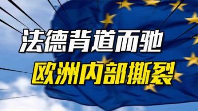 [视]法国向西，德国向东，为何说欧洲正在处于大撕裂的边缘？