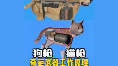 [视]猫枪狗枪，这是哪位大神设计的奇葩武器？ #涨知识 #三维动画