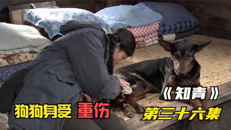 [文]《知青》剧评：周萍，荒诞年代平凡中国女性的美德代表整剧剧评-电视剧解说文案