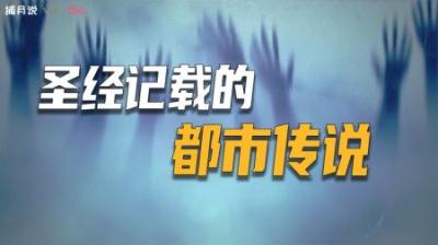 [视]高能预警，本视频含有数十个都市传说，一次性看个够