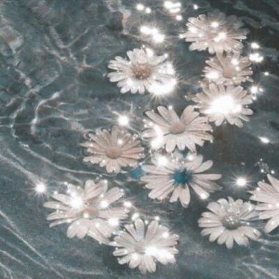 【爱情】爱情文章美文摘抄大全英文（爱情英文经典长篇美文）