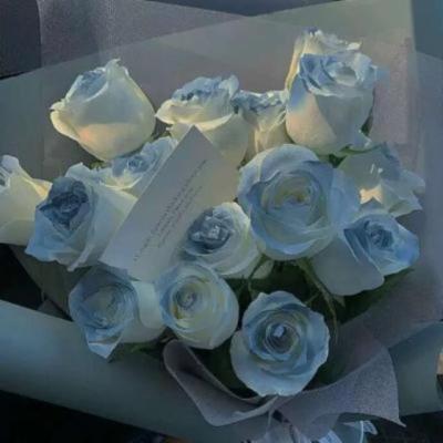 【伤感】有关和平精英文案爱情（和平精英恋爱文案）