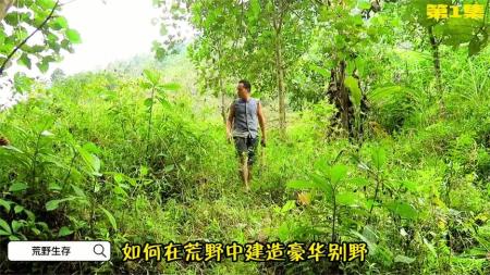 [文]几分钟看完一部电影：冒险片《荒野生存》