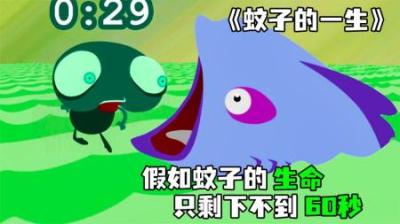 [视]《蚊子的一生》假如蚊子的生命，只剩下60秒，他会用来做什么
