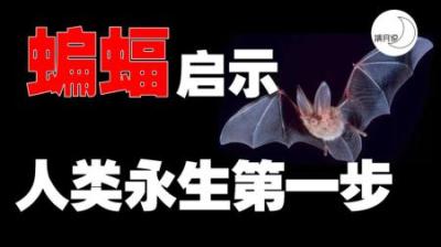 [视]蝙蝠为何能与病毒共生？问题的答案可能使人类永生！
