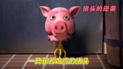 [视]猪头竟然长在鸡爪上，既然逃不过被屠宰的命运，那就逆天改命！