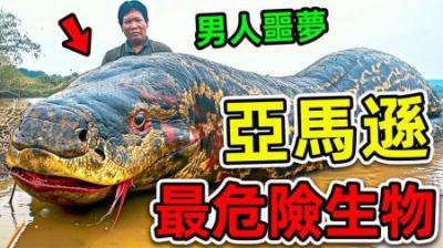 [视]亚马逊最危险的10个生物，食人鱼也只能垫底，第1名实至名归！
