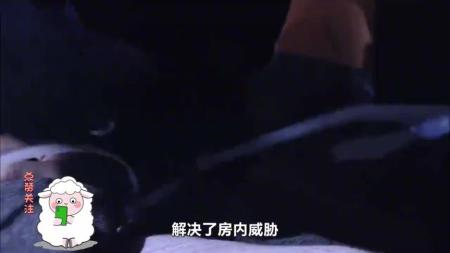 [文]《飞虎》整剧剧评-电视剧解说文案