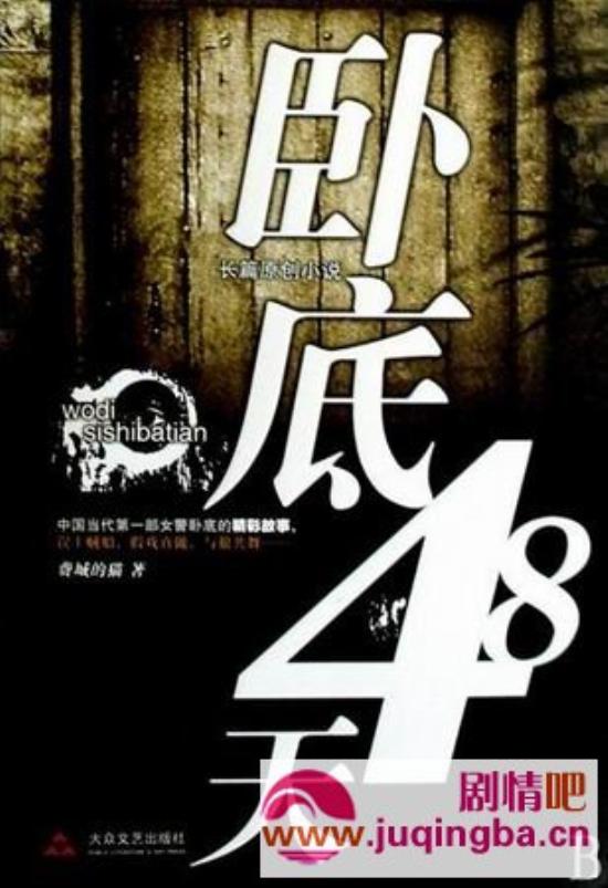 《卧底48天》_第1-3集_分集剧情