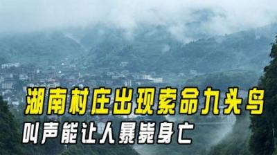 [视]索命九头鸟诅咒, 恐怖叫声让人暴毙而亡,本以为是传说却多次灵验
