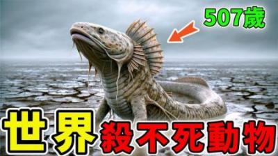 [视]世界上杀不死的动物，核爆中唯一幸存者，一口气活到507岁！