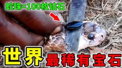 [视]世界上最稀有的10种宝石，钻石排不进榜单，第1名竟长在蛇身上！