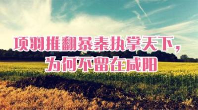 [视]西楚霸王项羽推翻暴秦后为何不选择称帝，2分钟看懂