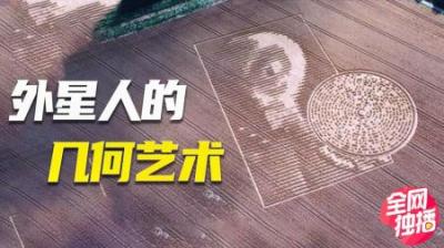 [视]拍到的麦田圈制造过程，专家出动24小时监视！