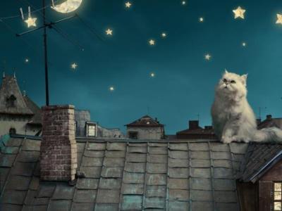 【经典】好长时间不说话的句子（长时间不说话会不会抑郁）