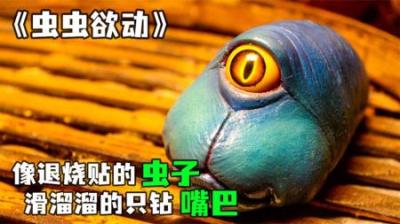 [视]《虫虫欲动》第三集丨来自外星的冰属性虫子，不光可爱还能治病