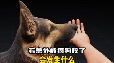 [视]如果不小心被疯狗咬了会怎么样呢？ #涨知识#流浪狗 #流浪猫