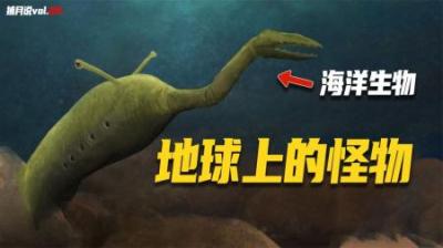[视]人类祖先是猿猴还是鱼？9分钟带你了解人类千万年演化历程