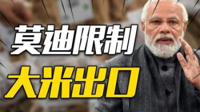 [视]莫迪限制大米出口，国际米价持续上涨，“粮仓”印度也遇粮食危机